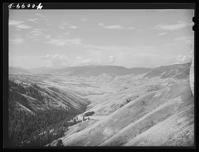Hill between Whitebird and Grangeville. Idaho County, Idaho, 1941