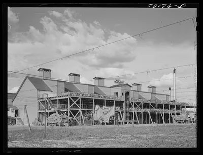 Kiln at Chief Hop Ranch, Yakima County, Washington. This ranch has…, 1941