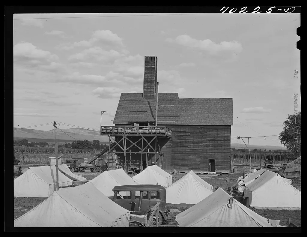 Tents of hop pickers, kiln in background. These tents are furnished…, Washington, 1941