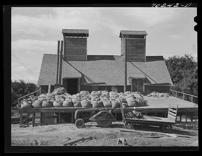 Kiln, sacked green hops in foreground. Yakima County, Washington, 1941