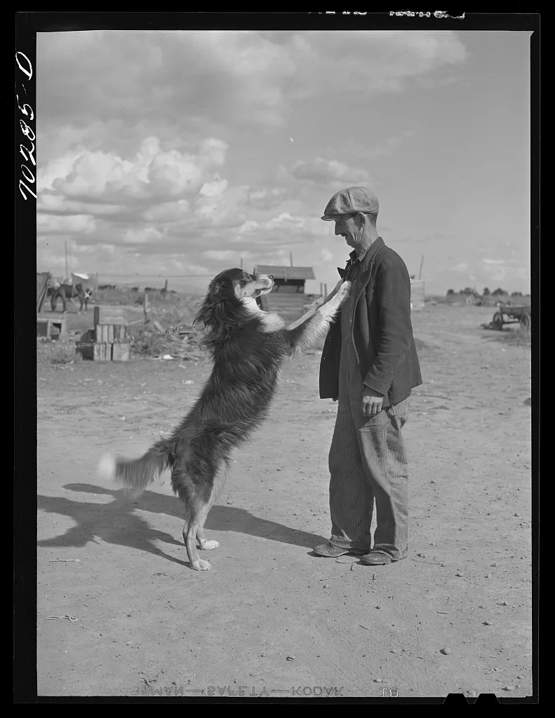 Farmer and his dog. Yakima County, Washington, 1941