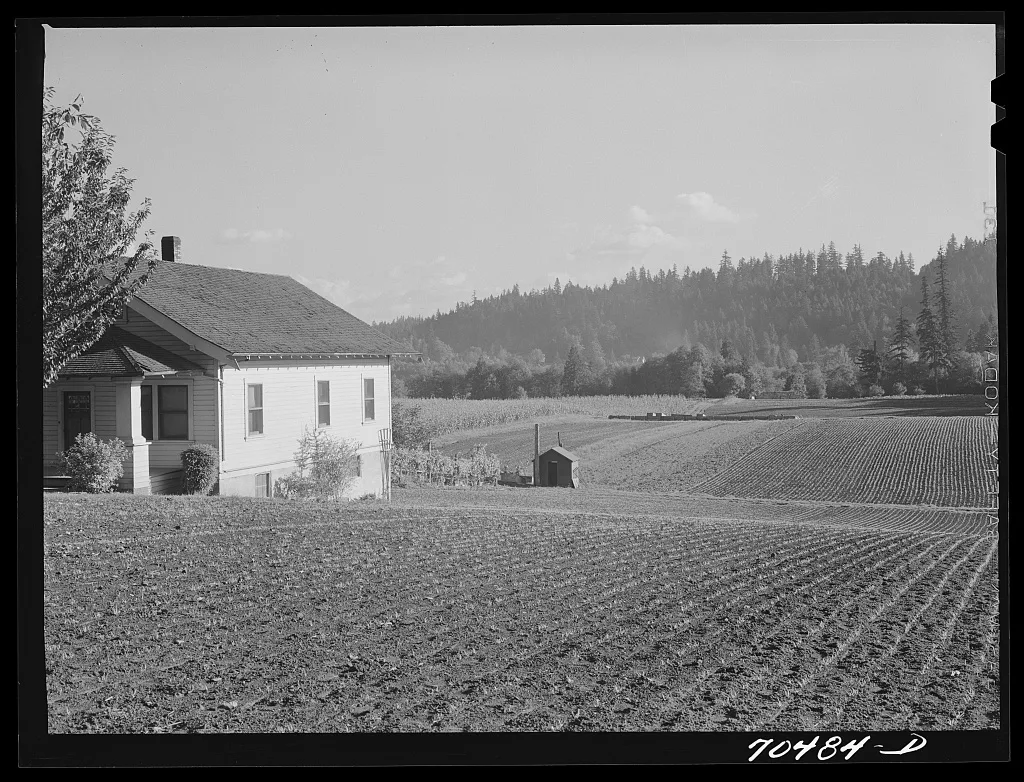Fall spinach. Willamette Valley, Clackamas County, Oregon, 1941