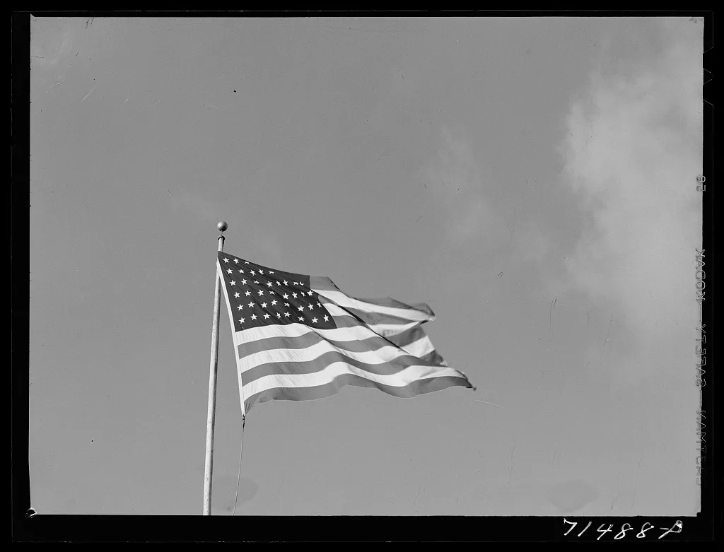 Sonoma County, California. The flag, 1942