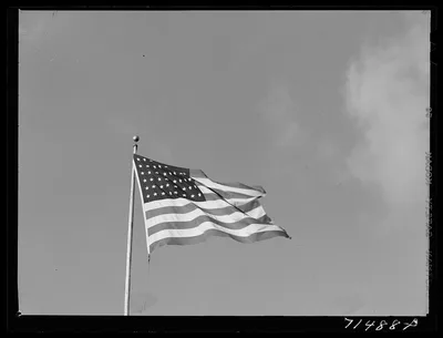 Sonoma County, California. The flag, 1942