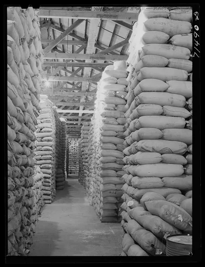 Sonoma County, California. Feed warehouse, 1942