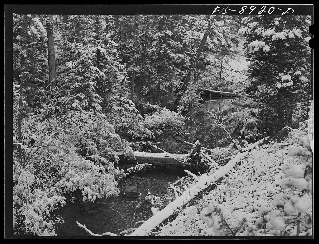 Little Belt Mountains, Meagher County, Montana. First snow of the…, 1942